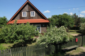 Hotels in Maszewo